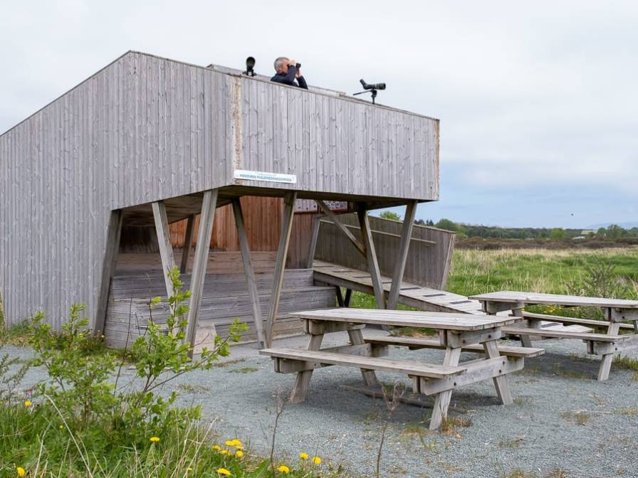 5-3_Hovsfjære fugletårn